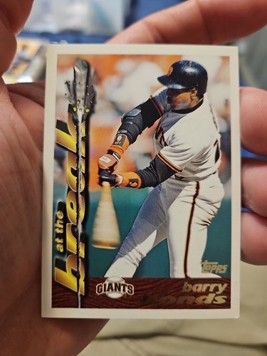Barry bonds san francisco - barry,